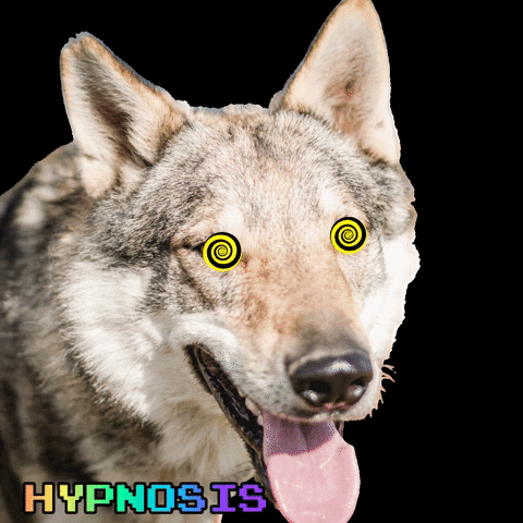 Hypno Wolf Eyes GIF