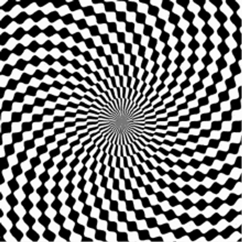 Black And White Spiral Optical Illusion GIF | GIFDB.com