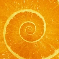 Hypnosis Orange Fruit Fiber Spiral Slow Motion GIF