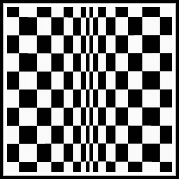 Hypnotic Optical Illusion Clashing Grids GIF