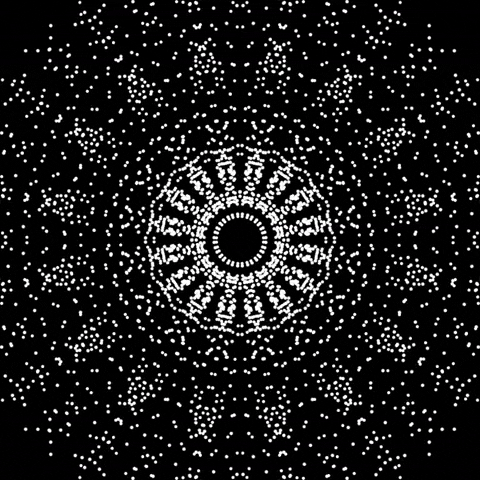 Hypnotic Optical Illusion Fractal Monochrome GIF
