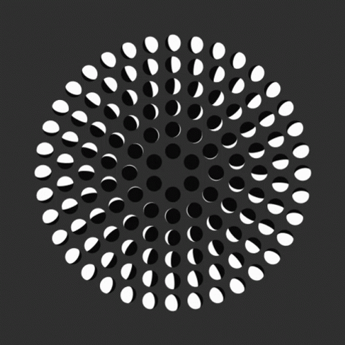 Hypnotic Spiral Black And White Moon Phases GIF