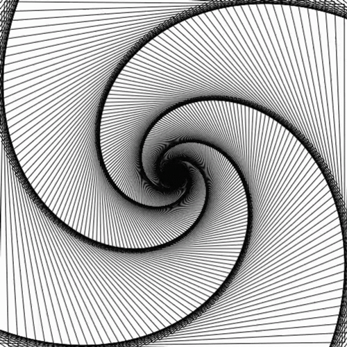Hypnotic Spiral Black And White Twirl GIF