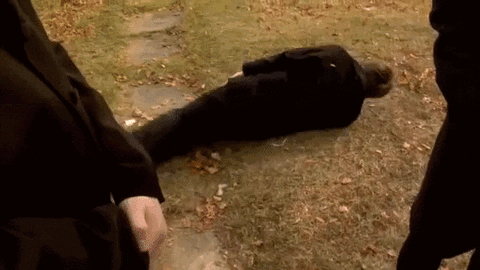 Hysterical Laughing Rofl GIF