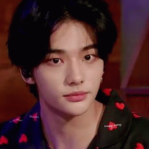 Funny Hyunjin Look Alike Ginger Cat GIF
