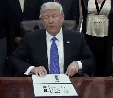 I Am A Racist Pig Donald Trump Meme GIF