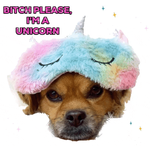 I Am A Unicorn Mushu GIF