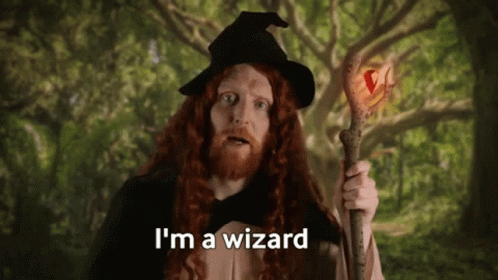 I Am A Wizard Guy GIF
