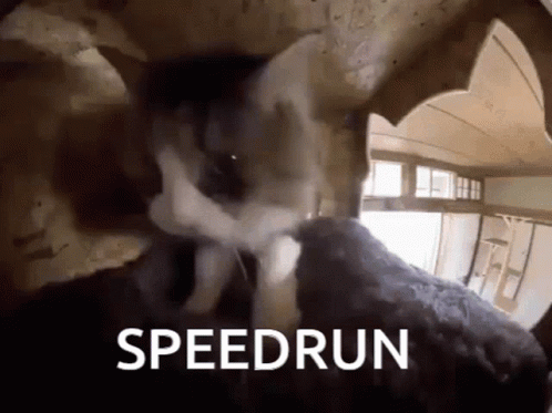 I Am Cat Speed Run GIF