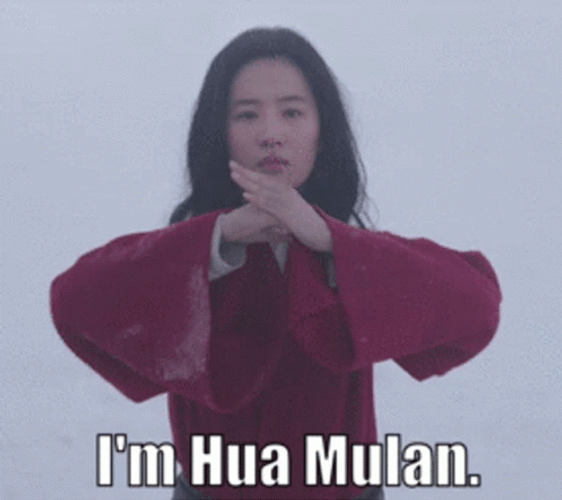 I Am Hua Mulan Liu Yifei GIF