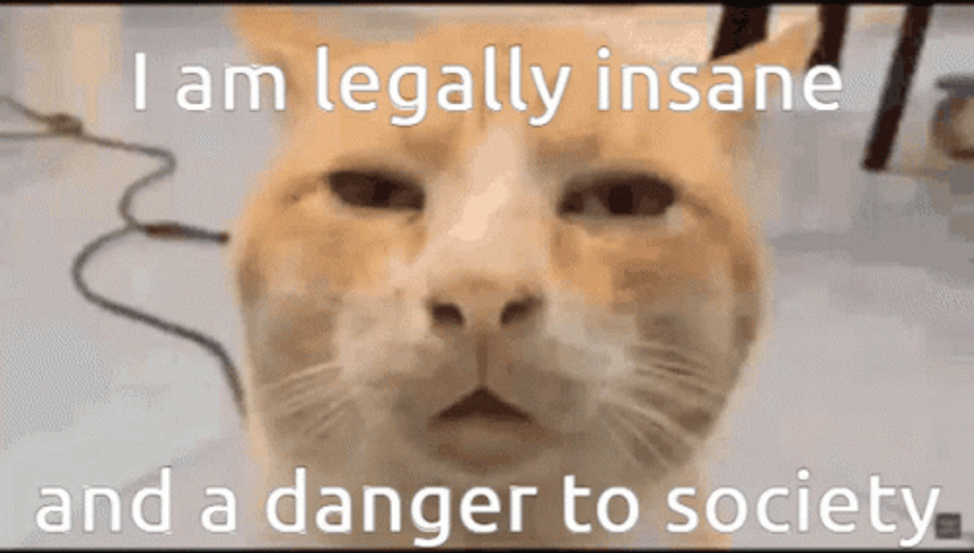 I Am Legally Insane GIF