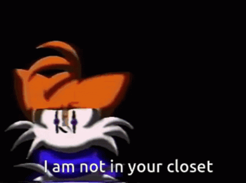 I Am Not Your Closet Sonic Meme GIF