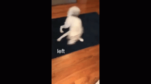I Am Speed Left And Right GIF