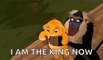 I Am The Lion King Meme Now GIF