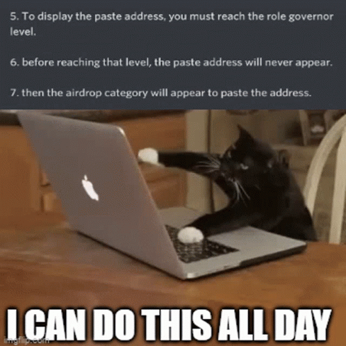 I Can Do This All Day Kitty Frantic Typing GIF
