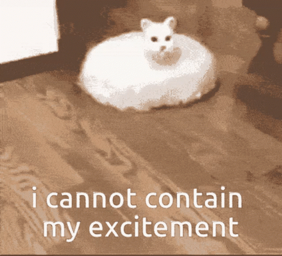 I Cannot Contain My Excitement GIF