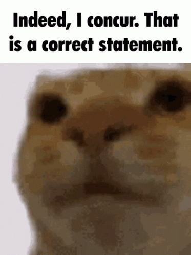 I Concur Ginger Cat Meme GIF