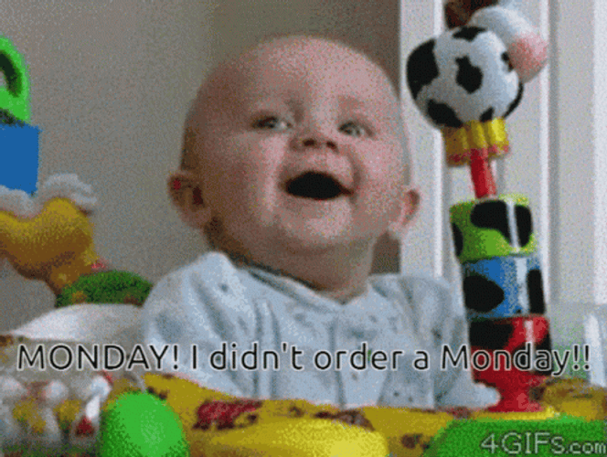 I Didn't Order Monday Monday GIF
