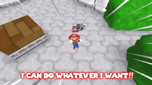 Super Mario Game I Do What I Want GIF
