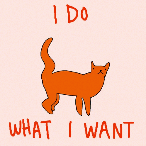 Walking Cat I Do What I Want GIF