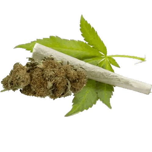 I Don't Always Smoke Weed Poster