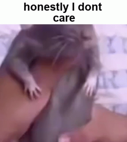 Rat Dancing I Don't Care GIF
