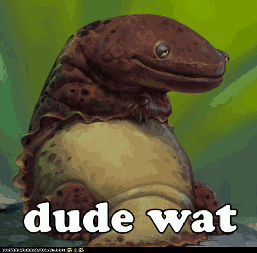 I Don't Get It Dude Wat GIF