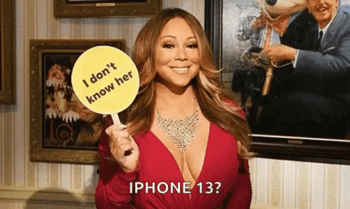 I Don't Know Her Mariah Carey Placard GIF