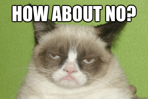 I Dont Think So Grumpy Cat GIF