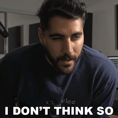 I Dont Think So Rudy Ayoub GIF