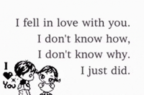I Fell in Love With You I Don't Know How I Don't Know Why