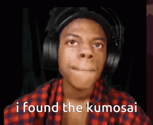 I Found The Kumosai Ishowspeed Meme GIF