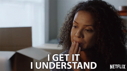 I Get It I Understand GIF