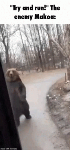 I Have No Enemies But The Big Bear GIF