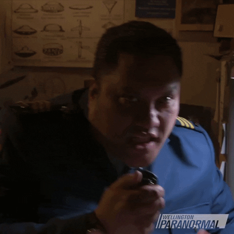 I Have The Power Wellington Paranormal GIF