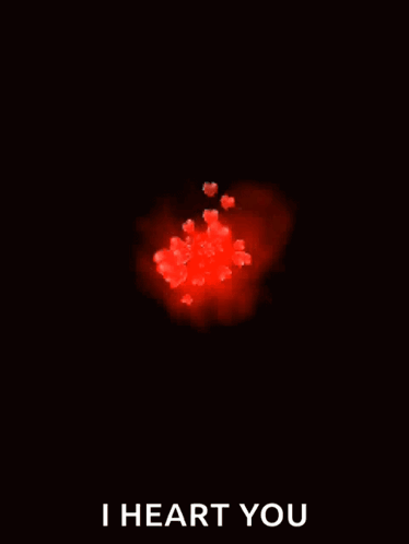 I Heart You Exploding Red Heart GIF