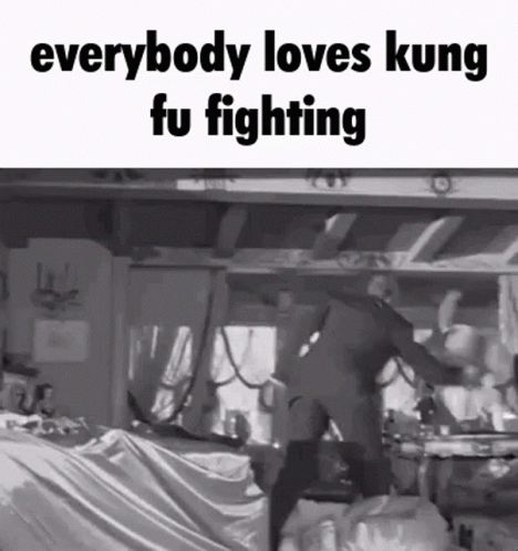 I Know Everybody Loves Kung Fu GIF