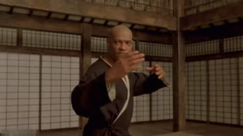 I Know Fighting Kung Fu GIF