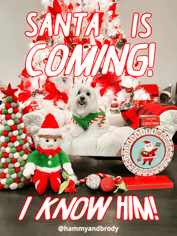 I Know Him Santa Is Coming GIF
