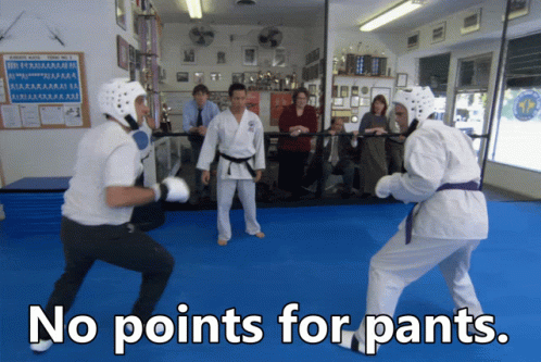 I Know Kung Fu No Points For Pants GIF