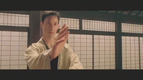 I Know Kung Fu Preparing To Attack GIF