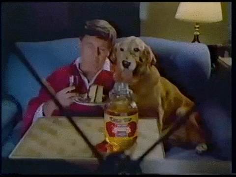 I Learned It From Watching You Guy And Dog Watching Tv GIF