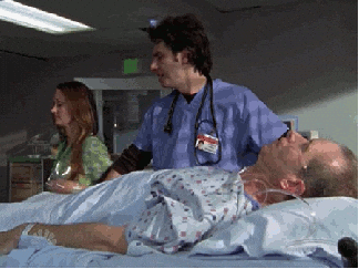 I Like It Getting Cute Cats While Hospitalized GIF