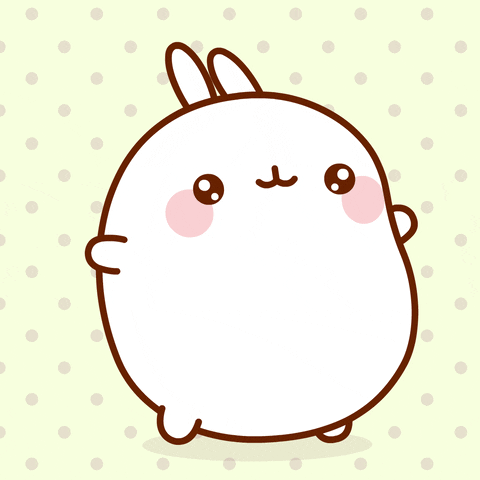 I Like It White Bunny GIF