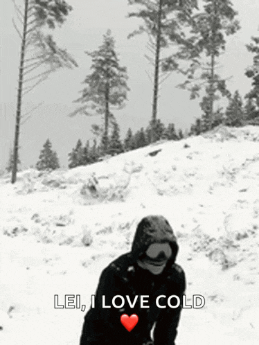 I Like Snow Snow Gif GIF