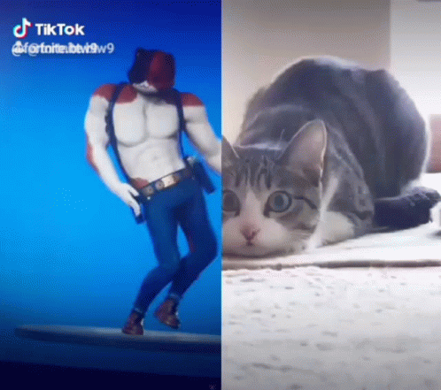 I Like To Move It Move It Fortnite And Cat GIF