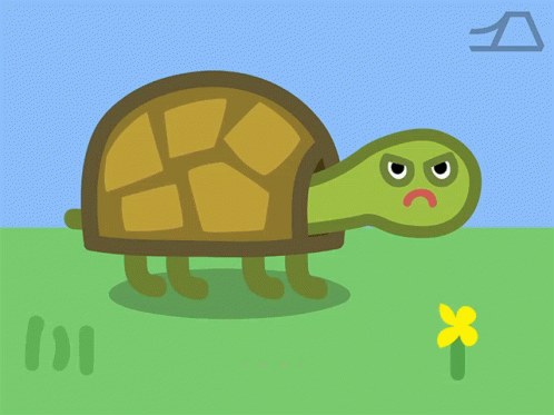 I Like Turtles Angry GIF