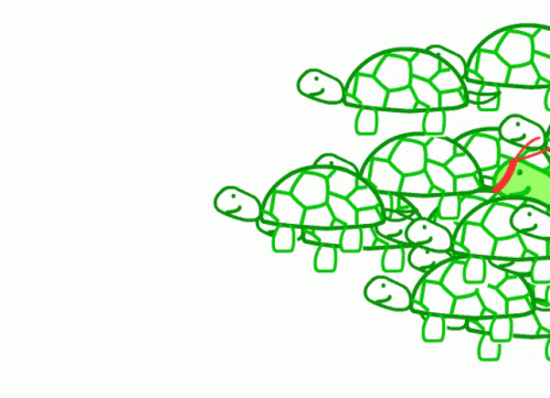 I Like Turtles Doodle GIF