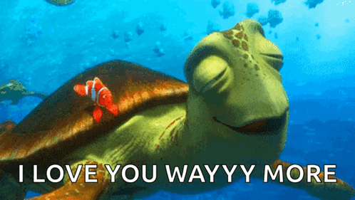 I Like Turtles Finding Nemo GIF