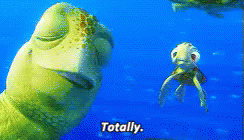 I Like Turtles Finding Nemo Totally GIF